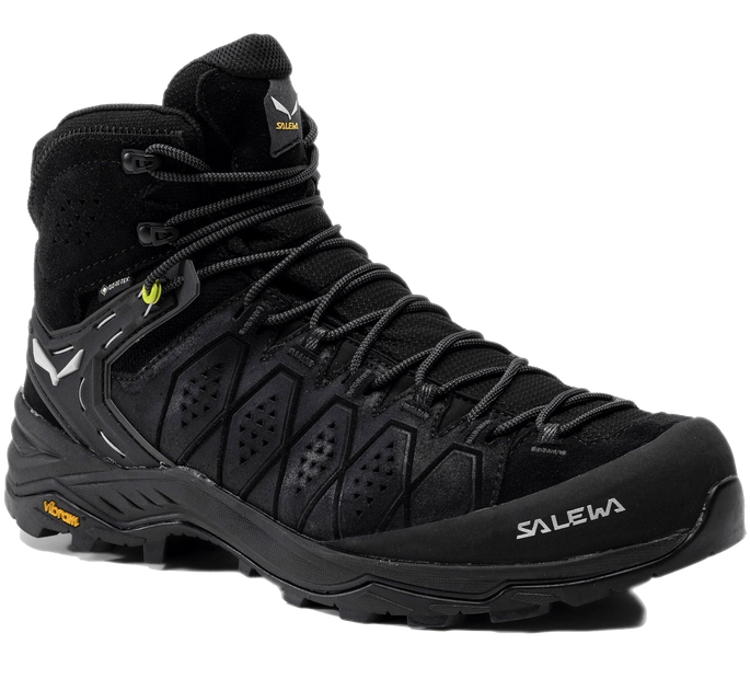 Черевики Salewa MS ALP TRAINER 2 MID GTX