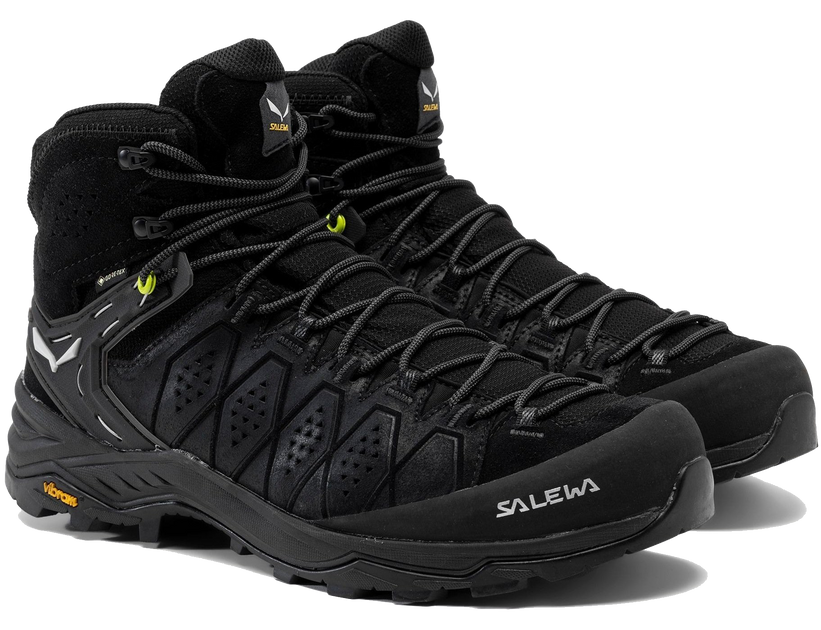 Черевики Salewa MS ALP TRAINER 2 MID GTX